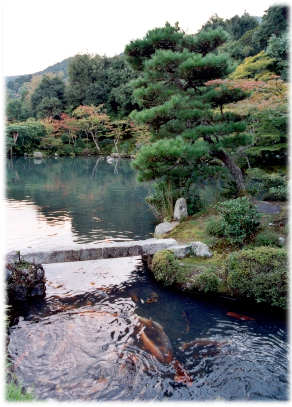 Garden 1, Kyoto Japan.jpg